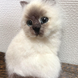 羊毛フェルト バーマン猫 ブローチ 5枚目の画像