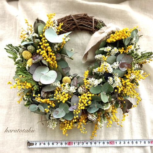 ミモザ・ユーカリ…ドライフラワーリース《Ⅱ》 ドライフラワー  