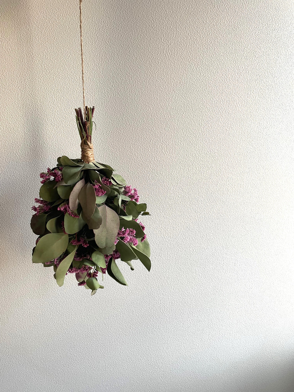 天井からつるす〉ユーカリとスターチスのドライフラワー