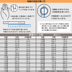  第6張的照片