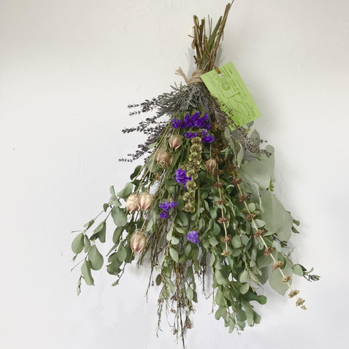 新芽の美しいユーカリ香るプロテアのコロンとしたナチュラルスワッグ ca19f02f24eeee72625e8aae8edc9b