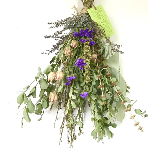 新芽の美しいユーカリ香るプロテアのコロンとしたナチュラルスワッグ