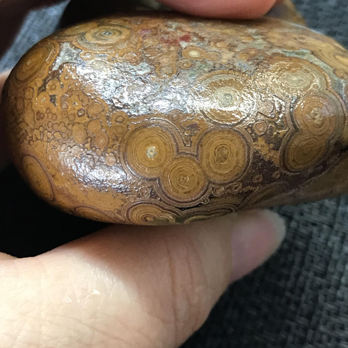 ゴビ石−817 眼石＆水晶ドーム 原石 鑑賞石 その他置物 KIKI 通販