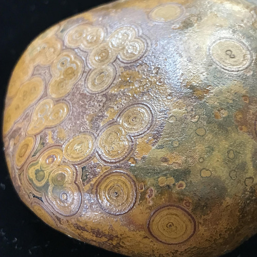 ゴビ石−817 眼石＆水晶ドーム 原石 鑑賞石 その他置物 KIKI 通販