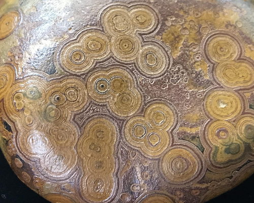 ゴビ石−817 眼石＆水晶ドーム 原石 鑑賞石 その他置物 KIKI 通販