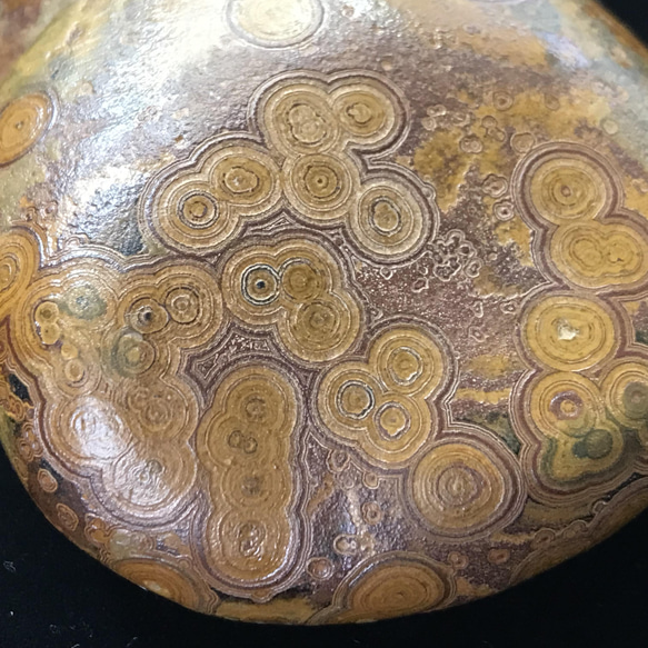 ゴビ石−817 眼石＆水晶ドーム　原石　鑑賞石 ゴビ石−817 眼石＆水晶ドーム原石鑑賞石