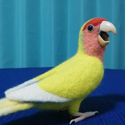 羊毛フェルト　コザクラインコ　ゴールデンチェリー 8枚目の画像