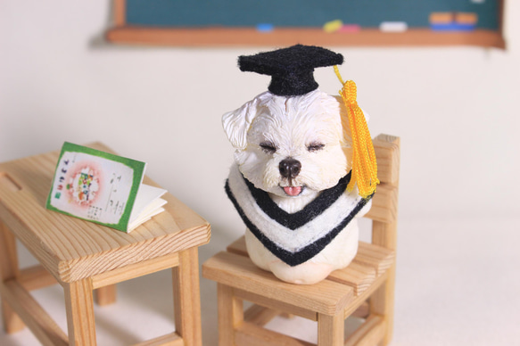 卒業ペット人形の装飾‧卒業ギフト‧学士号の制服‧学士号の帽子‧犬‧北京‧マー‧チワワ‧ソーセージ‧シュナウザー。 9枚目の画像