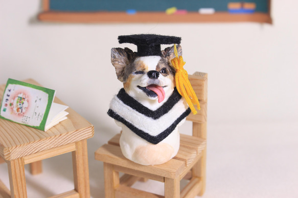 畢業寵物公仔擺設‧畢業禮物‧學士服‧學士帽‧狗狗‧北京‧瑪爾‧吉娃娃‧臘腸‧雪納瑞.‧ 第7張的照片