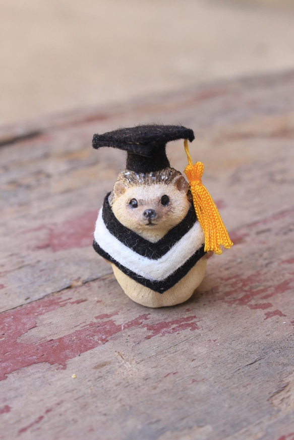 畢業寵物公仔擺設‧畢業禮物‧學士服‧學士帽‧刺蝟‧天竺鼠‧倉鼠 第7張的照片