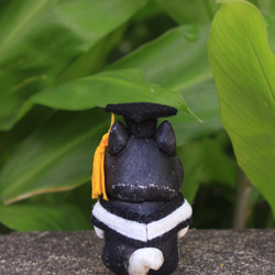 卒業ペット人形デコレーション・卒業ギフト・バチェラーユニフォーム・バチェラーキャップ・ハスキー・コーギー・VIP・ラブラドール 5枚目の画像