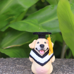 畢業寵物公仔擺設‧畢業禮物‧學士服‧學士帽‧哈士奇‧柯基‧貴賓‧拉不拉多 第17張的照片