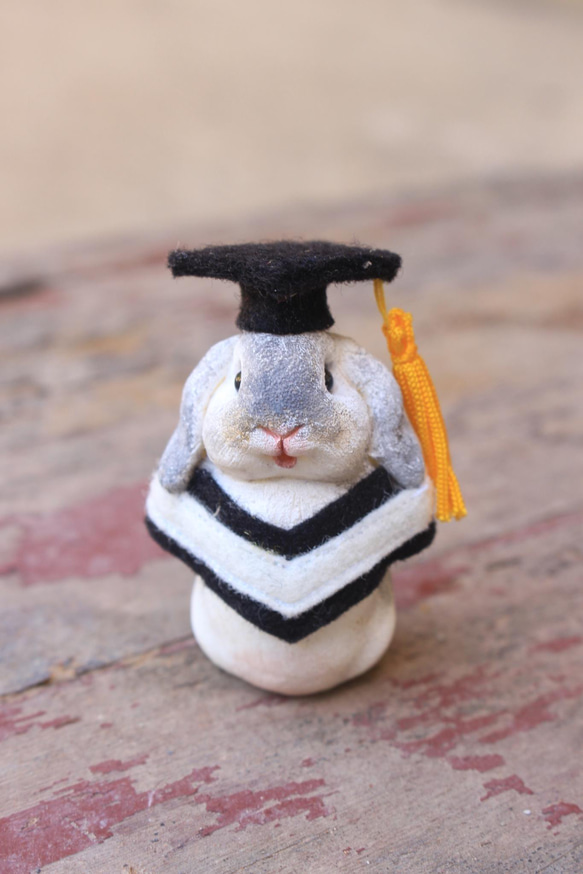 畢業寵物公仔擺設‧畢業禮物‧學士服‧學士帽‧蜜袋鼯‧垂耳兔‧兔 第6張的照片