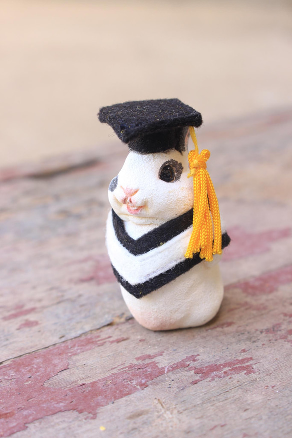 畢業寵物公仔擺設‧畢業禮物‧學士服‧學士帽‧蜜袋鼯‧垂耳兔‧兔 第8張的照片