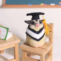 畢業寵物公仔擺設‧畢業禮物‧學士服‧學士帽‧蜜袋鼯‧垂耳兔‧兔 第3張的照片
