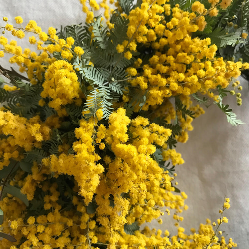 受注）ミモザの三日月リース リース wakunoha 通販 13339053｜Creema