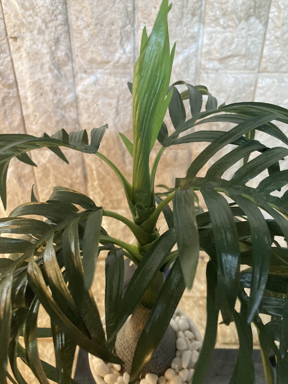 光触媒　人工観葉植物　ウォールグリーン　フェイクアレンジ　ココナッツヤシ 4枚目の画像
