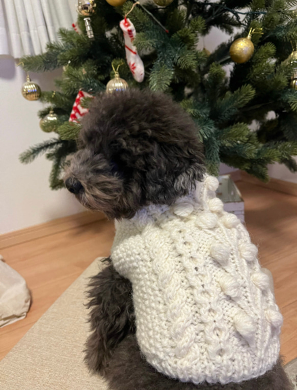 【再販8】小型犬用アラン編みニットセーター2種類(オフホワイト) 5枚目の画像