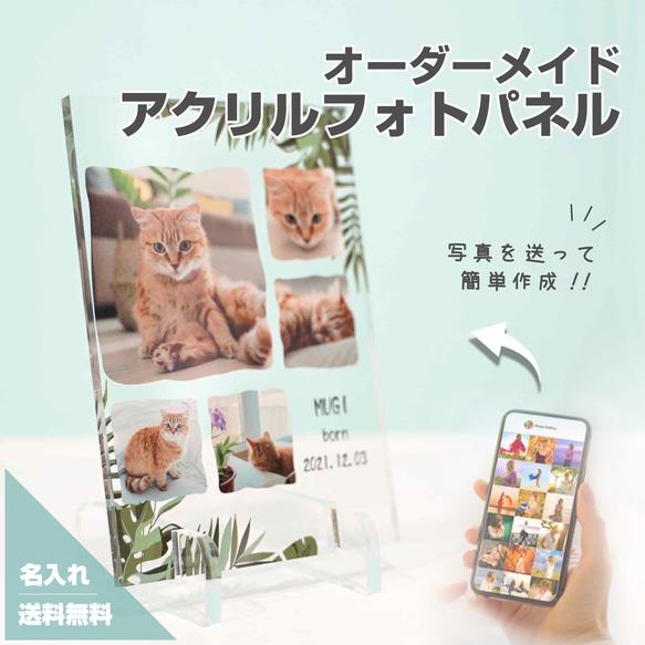 アクリル フォトパネル (写真立て) 【 デザイン番号 A14 】猫 キャット ネコ 犬 わん子 ペット ドッグ dog 1枚目の画像