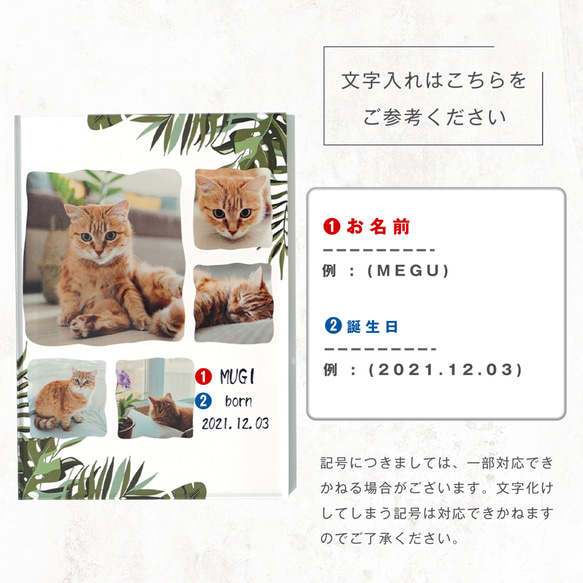 アクリル フォトパネル (写真立て) 【 デザイン番号 A14 】猫 キャット ネコ 犬 わん子 ペット ドッグ dog 6枚目の画像