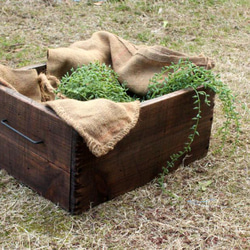 アンティーク風ツールボックス　マルチボックス　ガーデンボックス　野菜箱　ダメージ　ビンテージ　キャンプ 4枚目の画像