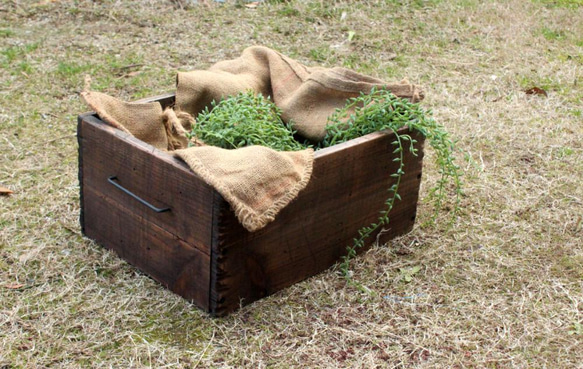 アンティーク風ツールボックス　マルチボックス　ガーデンボックス　野菜箱　ダメージ　ビンテージ　キャンプ 4枚目の画像
