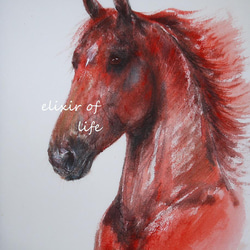 赤い馬のポートレート２０２２（墨絵、厚い和紙、２６ｃｍ×３６ｃｍ、墨、水彩） 1枚目の画像