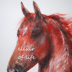赤い馬のポートレート２０２２（墨絵、厚い和紙、２６ｃｍ×３６ｃｍ、墨、水彩） 2枚目の画像