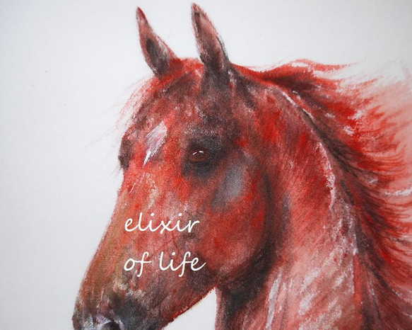 赤い馬のポートレート２０２２（墨絵、厚い和紙、２６ｃｍ×３６ｃｍ、墨、水彩） 2枚目の画像