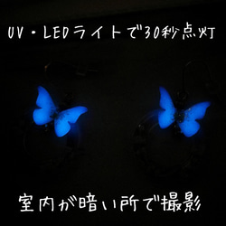 【夜光蝶と桜のリング ピアスorイヤリング】 レジンアクセサリー 蓄光 光る パール 春 さくら サクラ 魔法 クリア 6枚目の画像