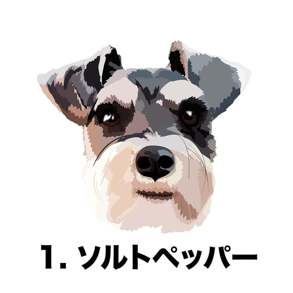 【シュナウザー毛色4色】マグカップ　お家用　プレゼント　コーギーブラザーズ　犬　うちの子 2枚目の画像