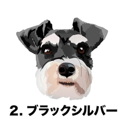 【シュナウザー毛色4色】マグカップ　お家用　プレゼント　コーギーブラザーズ　犬　うちの子 3枚目の画像