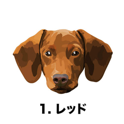 【ダックスフンド毛色７色】マグカップ　お家用　プレゼント　コーギーブラザーズ　犬　うちの子 2枚目の画像