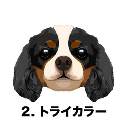 【キャバリア毛色4色】マグカップ　お家用　プレゼント　コーギーブラザーズ　犬　うちの子 3枚目の画像