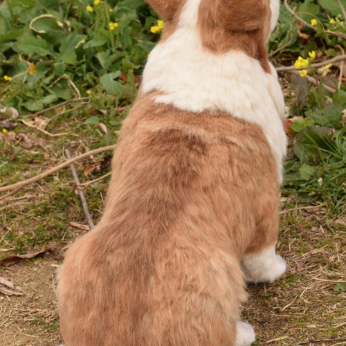 コーギー 等身大 オーダーメイド 羊毛フェルト 羊毛フェルト