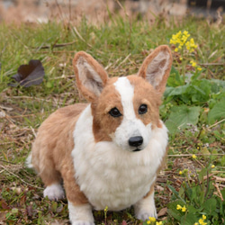 c72469c70038a8fab5aefa19fa4c09