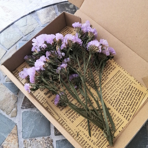 優しいラベンダー色のドライフラワースターチス 花材 ハンドメイド