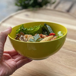 ほっこりボウルで楽しむ おうちごはん28色 10枚目の画像