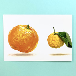 【ポストカード1５枚セット】ちょっと不思議な「Ukabu Fruits」ポストカードセット 4枚目の画像