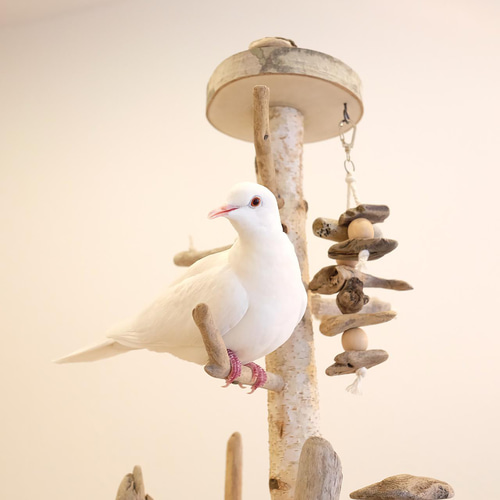 sold】鳥さんの楽園♪ 縦型バードアスレチック｜L 流木 白樺