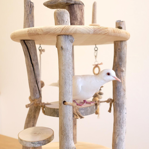 sold】鳥さんの楽園♪ 縦型バードアスレチック｜L 流木 白樺