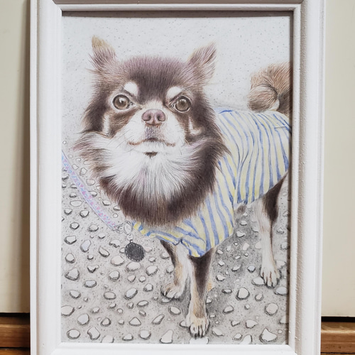 色鉛筆画✭愛猫愛犬✭ペット似顔絵　オーダー受付　ページです♪1 b43ac45e4e5e1a102e5063bf982c69