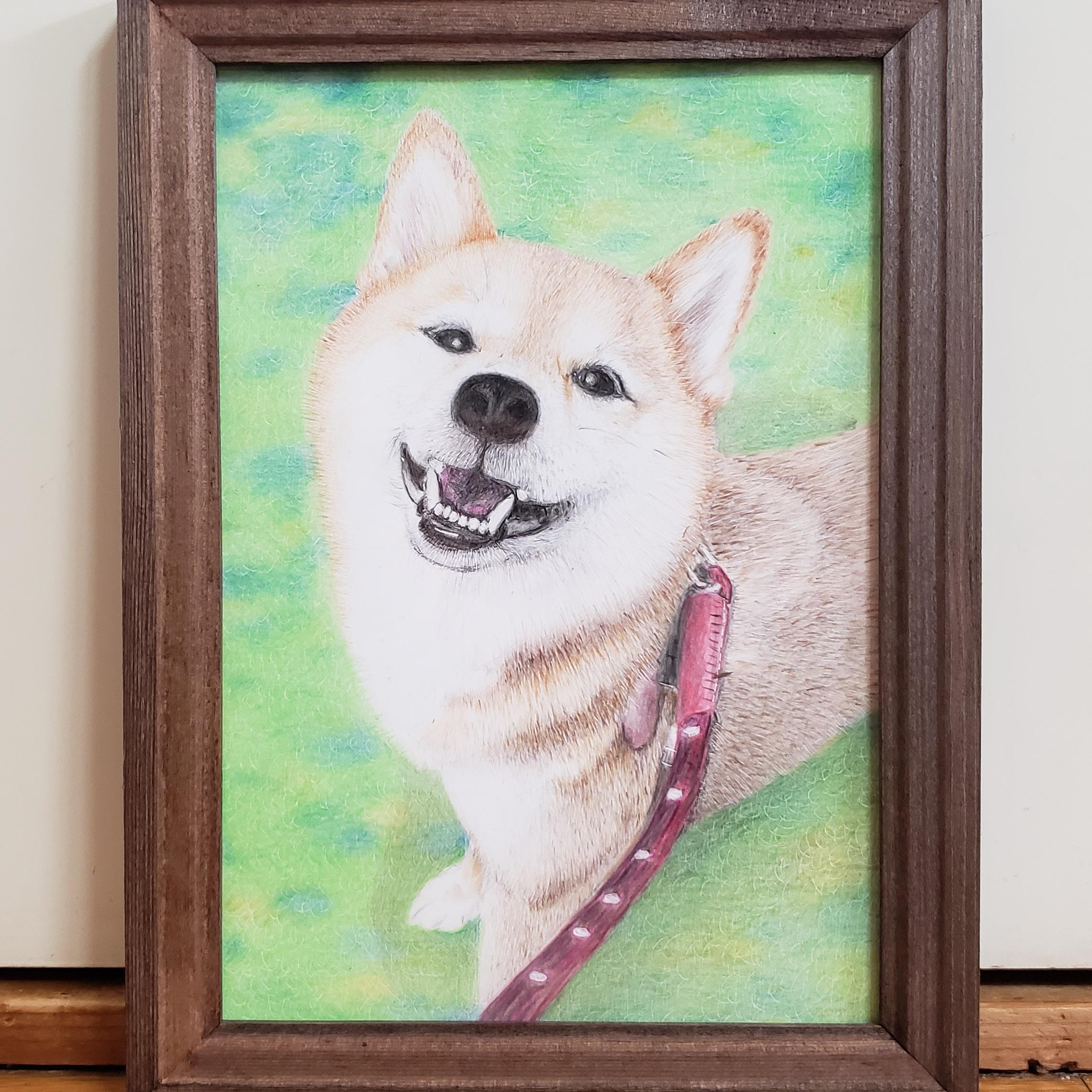 色鉛筆画 オーダー 「リアルでかわいい」ワンちゃんネコちゃん
