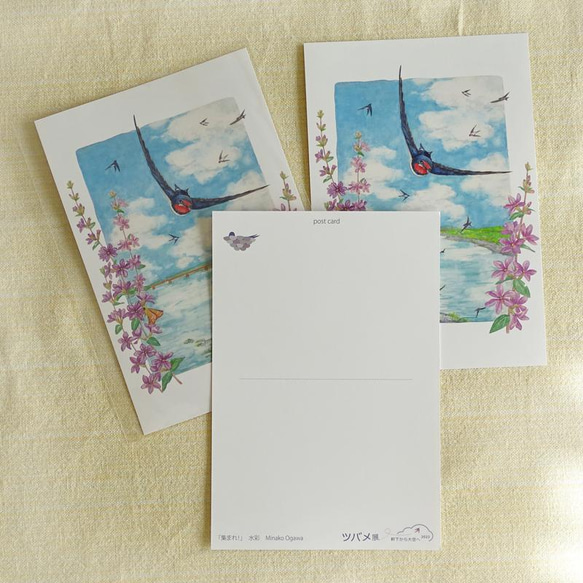 ツバメのポストカード「集まれ！」3枚入り 2枚目の画像
