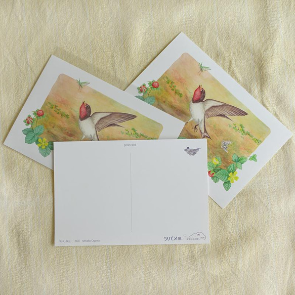 ツバメのポストカード「ねぇ ねぇ」3枚入り 2枚目の画像