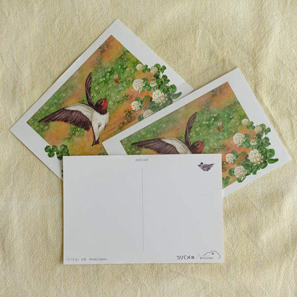 ツバメのポストカード「とべたよ」3枚入り 2枚目の画像