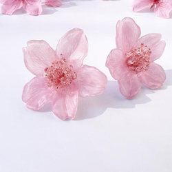 【特集掲載】本物の桜 ソメイヨシノ / ピアスorイヤリング / sakura pink 2枚目の画像
