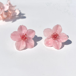 ☆❤️ 桜　さくら　花びら　春　ピアス　イヤリング　ハンドメイド 本物のお花 桜の花びらピアス14kgf | 桜色 【※受注制作】納期約1ヶ月
