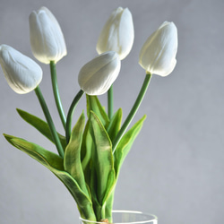咲き続けるチューリップ(ホワイト)　マジカルウォーター　癒しのフラワーインテリア 4枚目の画像