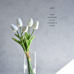 咲き続けるチューリップ(ホワイト)　マジカルウォーター　癒しのフラワーインテリア 1枚目の画像